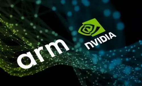 被市场严重低估的七大国产软件，长牛之王崛起，谁是十倍龙头？